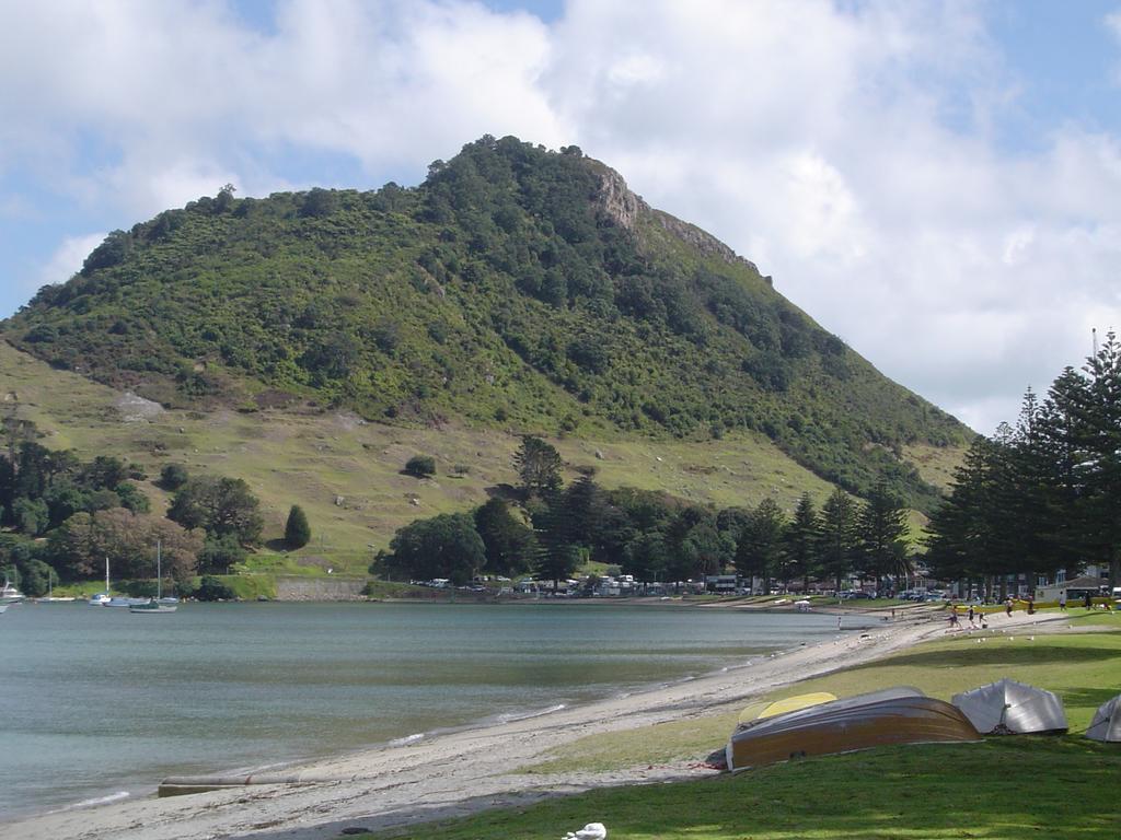 Seagulls Guesthouse Mount Maunganui Exterior photo